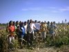 Agricultores em visita s unidades de produo de sorgo