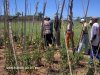 Visita  horta da comunidade Campos Dourados