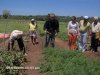 Visita  horta da comunidade Campos Dourados