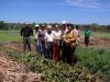 Visita  horta da comunidade Campos Dourados