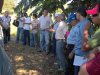 Curso de bovinocultura