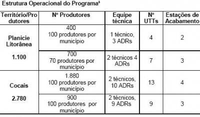 TABELA 6