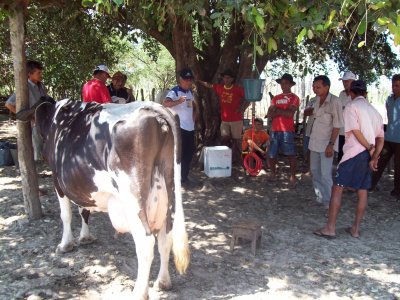 Curso de manejo de ordenha