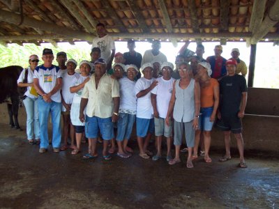 Curso de manejo