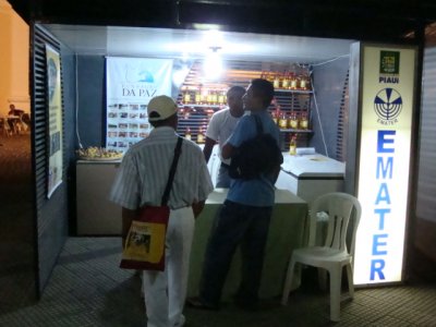 Exposio e venda de cajuna