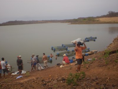 Curso de capacitação