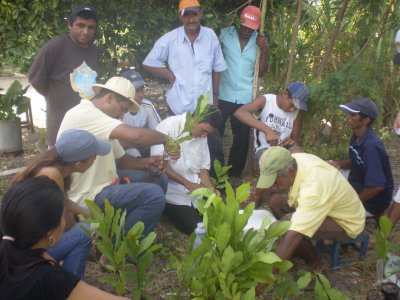 Curso de capacitação