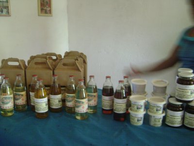 Curso de capacitação