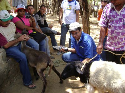Curso de capacita��o