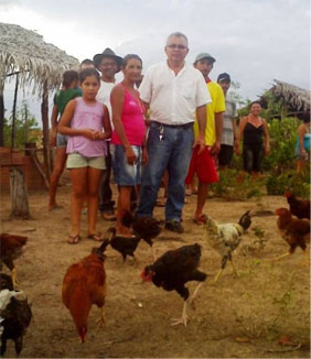 Produo de galinha caipira