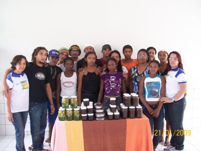 Cocludentes de curso