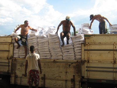 Entrega de sementes