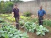 Projeto Horta na Escola