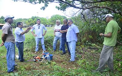 TCNICOS PROMOVEM DEMONSTRAO DA PODA DO CAJUEIRO