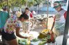 FEIRA DE MIGUEL ALVES