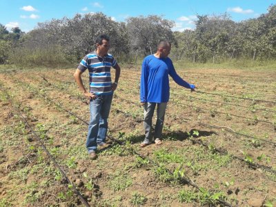 AGRICULTORES FORAM CONTEMPLADOS