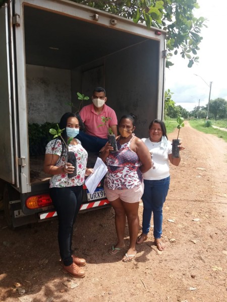 Regional de Uruu entrega mudas e sementes a agricultores