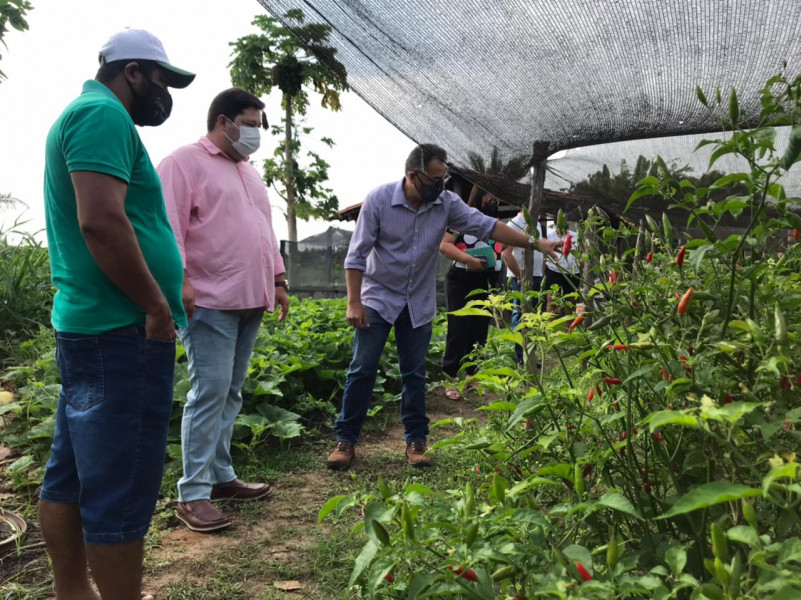 Visita ao campo horta Aves Verdes, em Teresina.