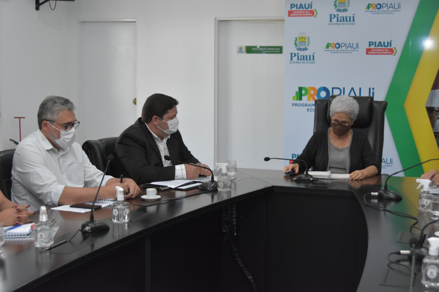 Reunio da equipe Emater PI com governadora Regina Sousa