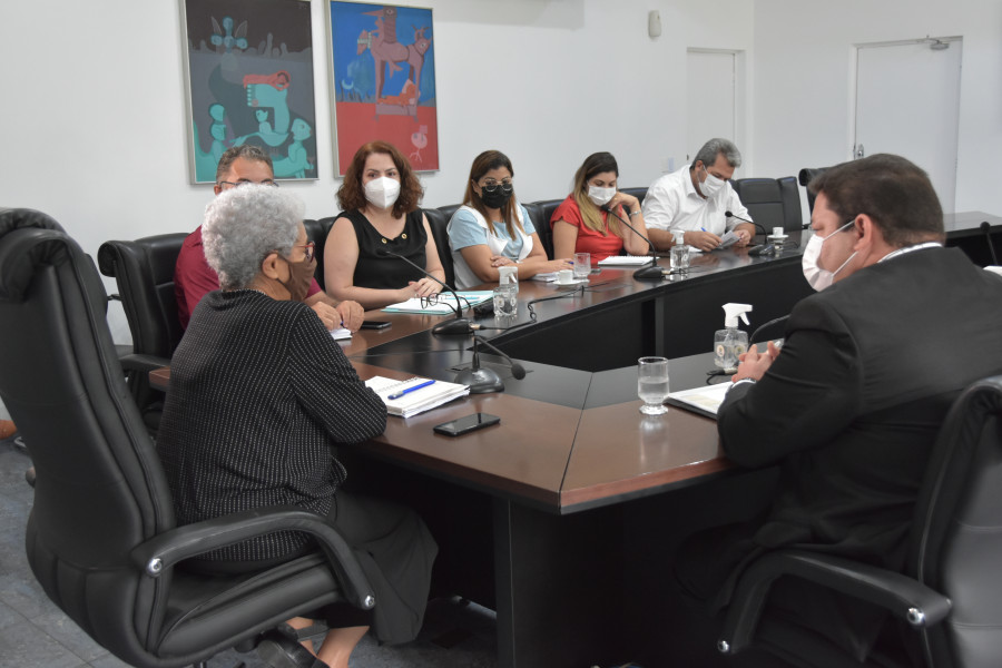 Reunio da equipe Emater PI com governadora Regina Sousa