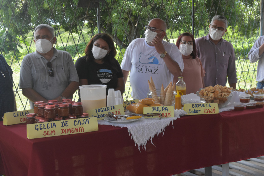 Curso Processamento Agroindustrial do Caj