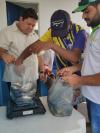 Despesca de tilápias do Programa Água Doce em Betania