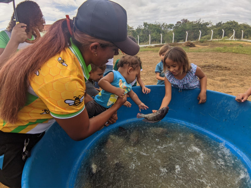 Primeira despesca do Programa gua Doce no semirido piauiense