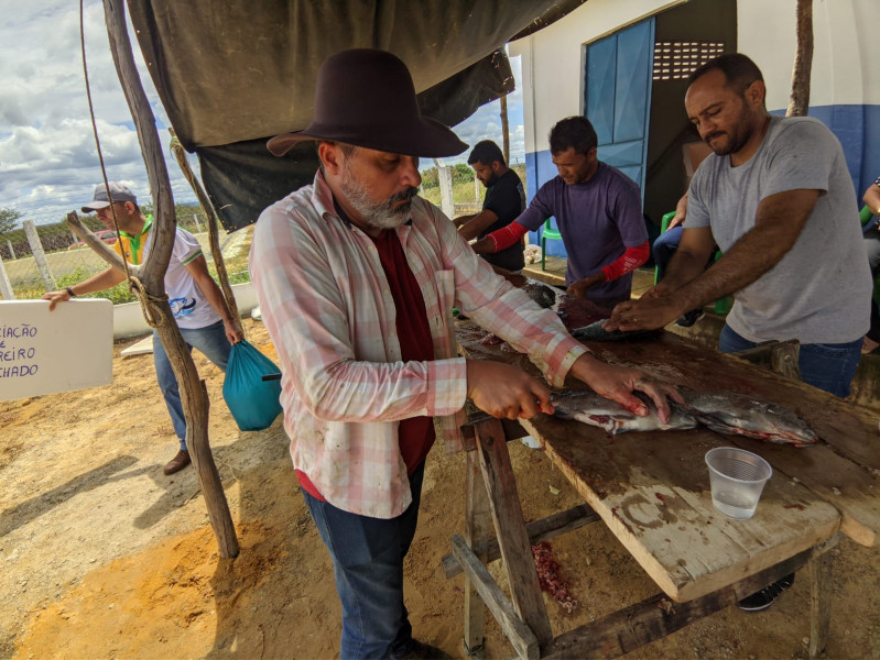 Primeira despesca do Programa gua Doce no semirido piauiense